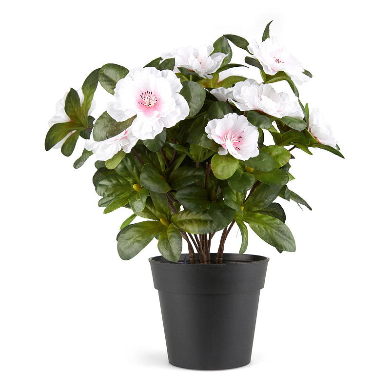 Hjem Belgisk Azalea 25 cm kunstig