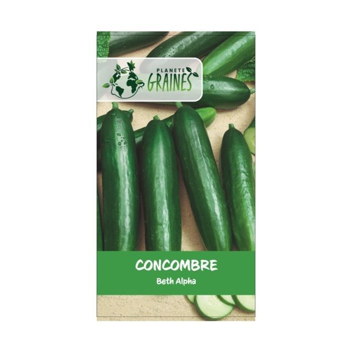 50 graines de concombre Beth Alpha - Doux et non Amer - production abondante
