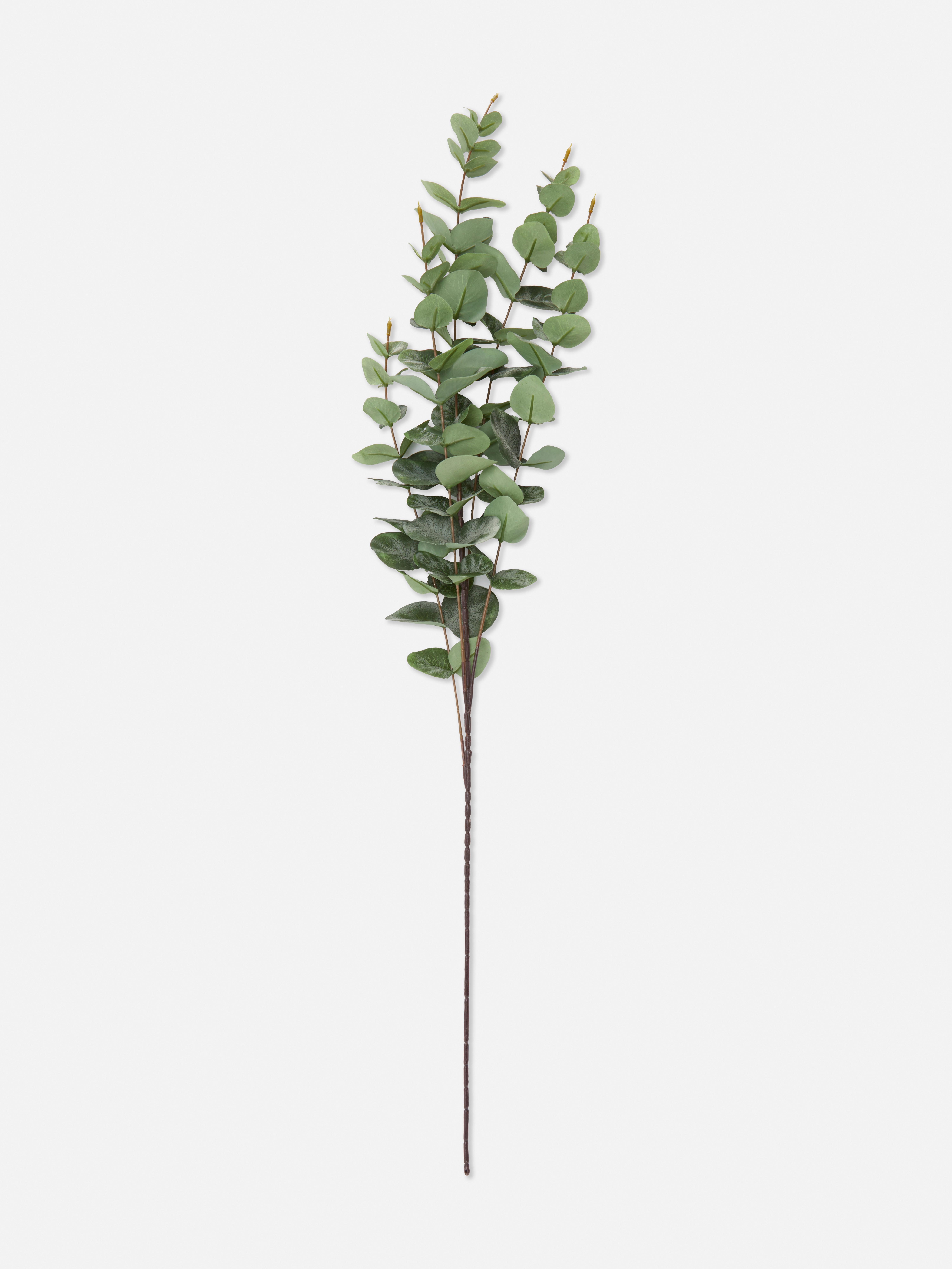Künstlicher Eukalyptus, einzelner Stamm Ein künstlicher Eukalyptuszweig zur Dekoration Ihrer Innenräume.