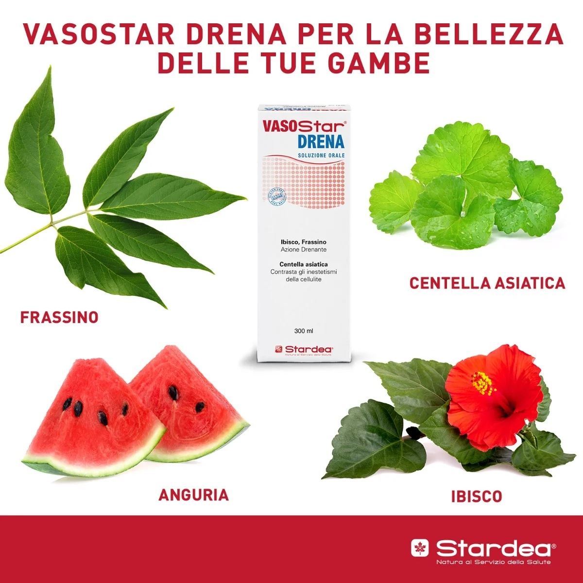 STARDEA Vasostar Drains 300 ml Odkap
