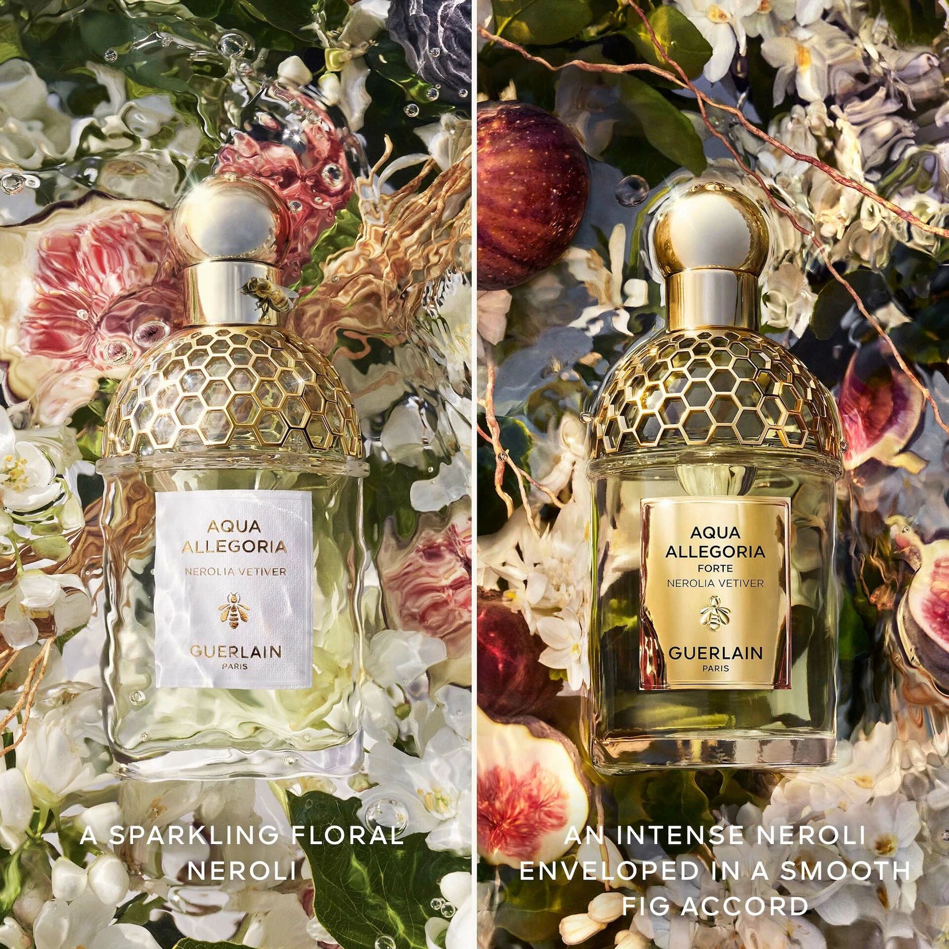 Aqua Allegoria Nerolia Vetiver Forte 75 ml - GUERLAIN