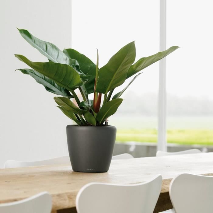 LECHUZA Classico Premium Blumentopf – Komplettset – Metallic-Anthrazit – Ø 21 x H 20 cm – 3 Liter Fassungsvermögen