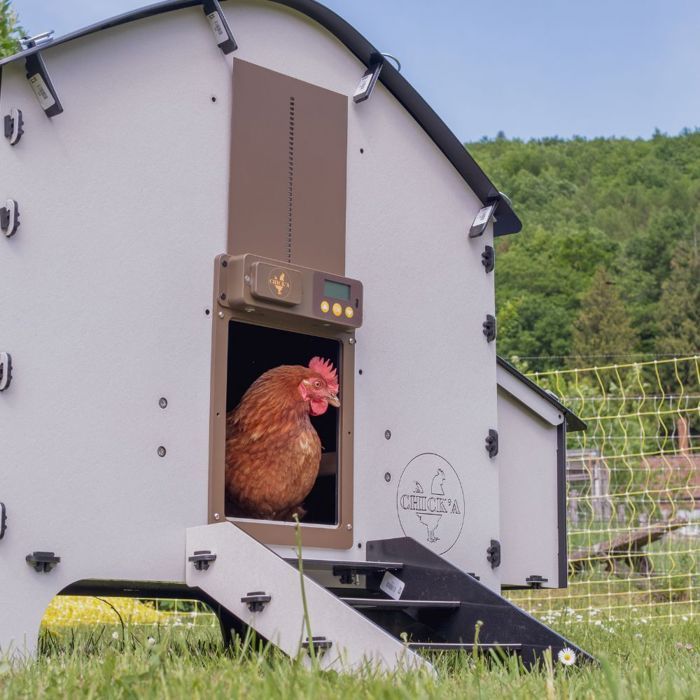 Pollaio Harmony per 6 galline, realizzato in plastica riciclata.