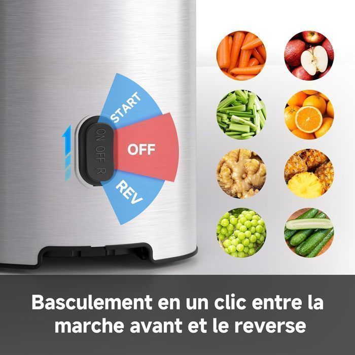 AMZCHEF 113mm Extrator de Suco de Frutas e Vegetais - Extrator de Suco de Frutas Inteiras - Extrator de Suco Lento - Prata