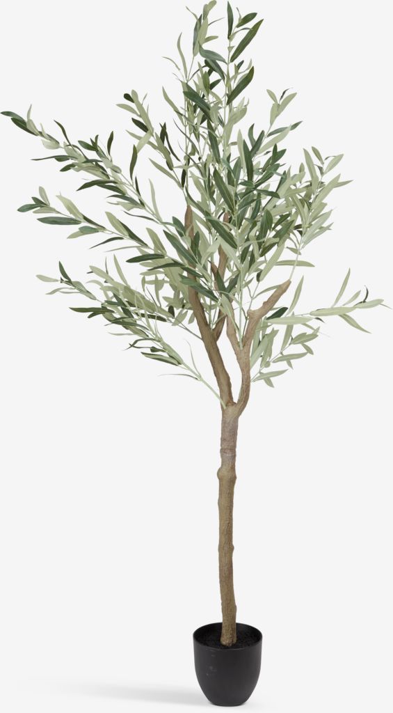 Umelá rastlina Morský koník, výška 160 cm, olivovozelená
