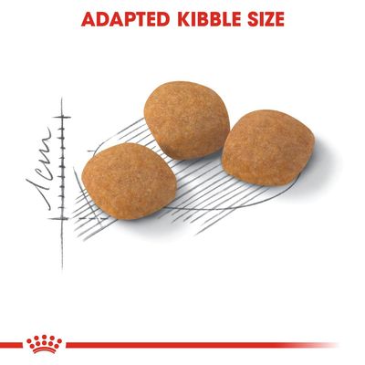 Royal Canin Protein Demanding