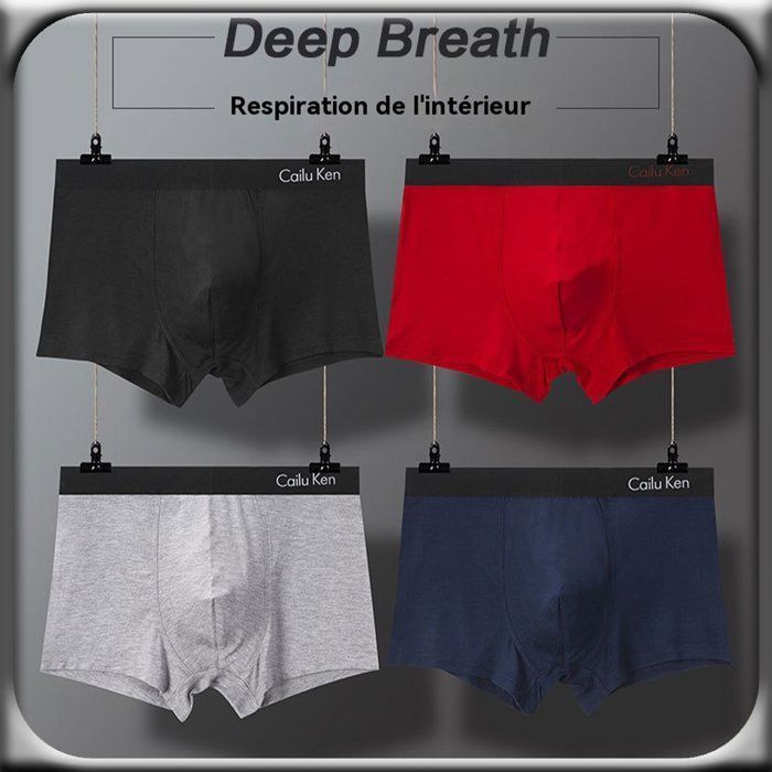 Lot de 5 Boxer Homme Coton, Caleçon Homme Naturel et Hypoallergénique à imprimé XD1070 Café Gris Rouge Bleu Noir