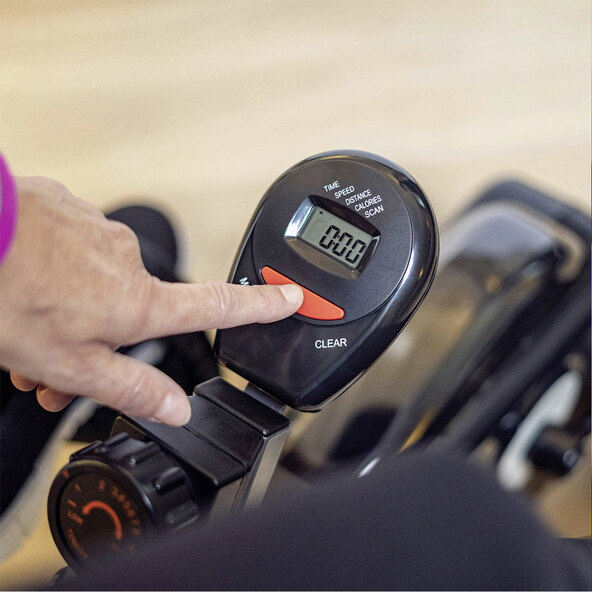 Senior Liegeheimtrainer Nestor