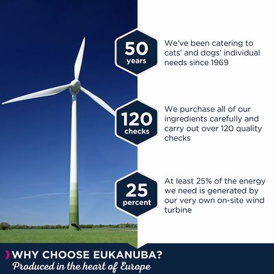 Eukanuba Grain-Free pentru căței de talie mare cu Ocean Fish