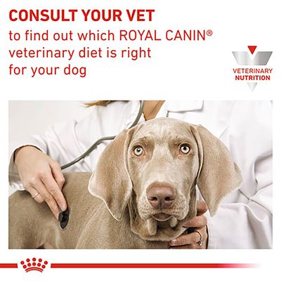 Royal Canin Veterinary Dog - Urinary S/O LP 18