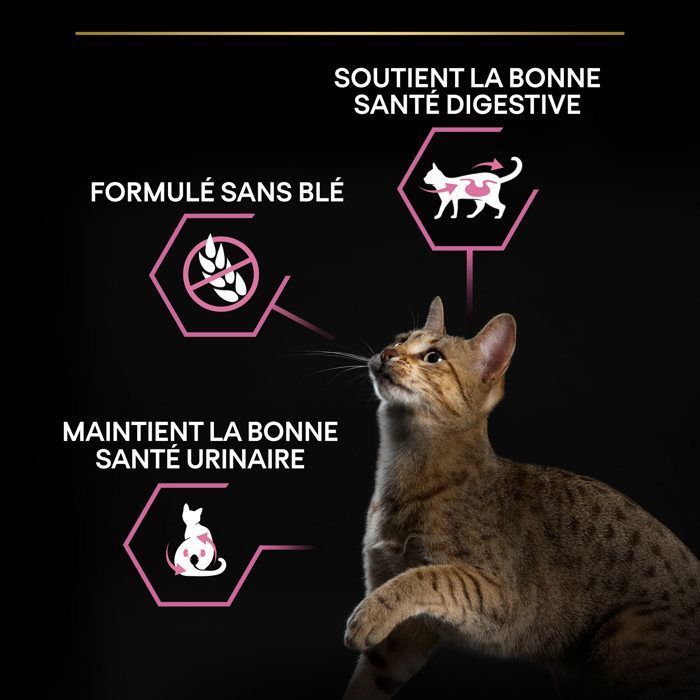 Pro Plan Sterilised Adult 1+ Delicate Digestion Riche en Poulet - 10kg - Croquettes complètes pour chats adultes