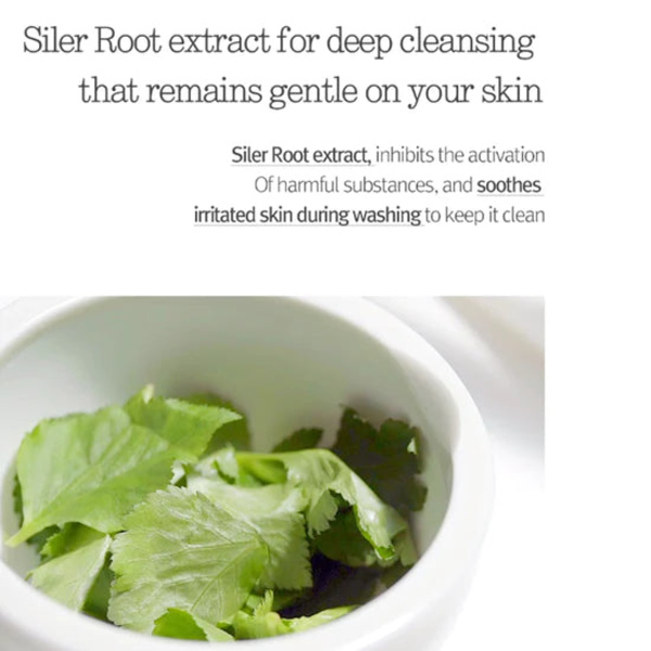 Schiuma detergente Pyunkang Yul 150 ml