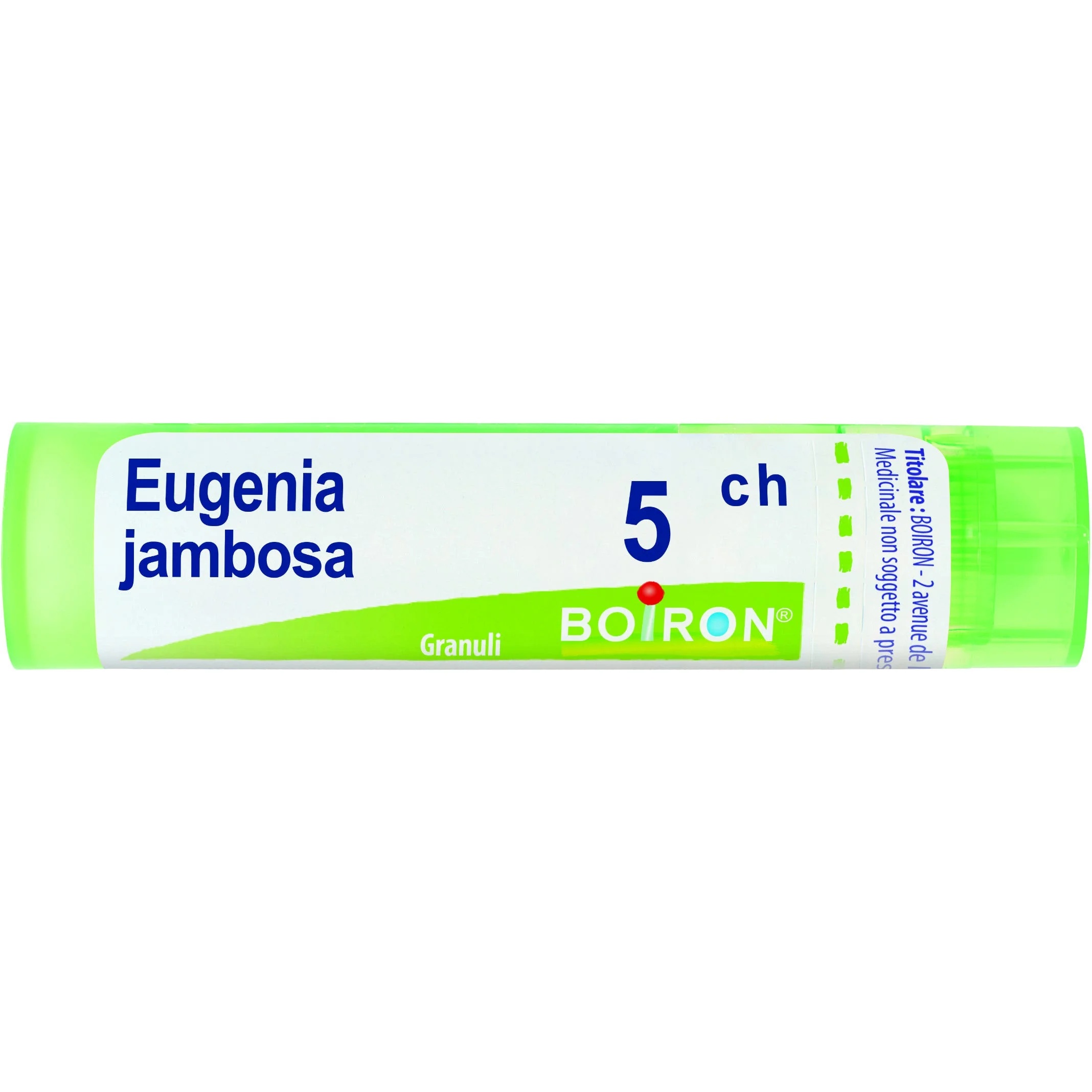 BOIRON Eugenia Jambosa 5Ch Granulat