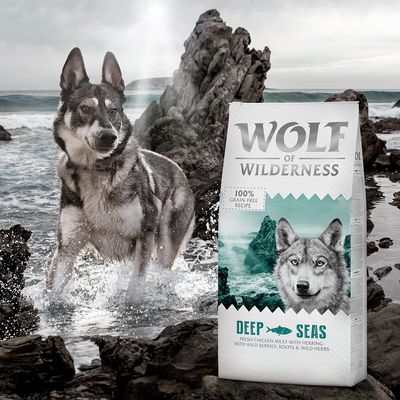 Wolf of Wilderness Voksen 