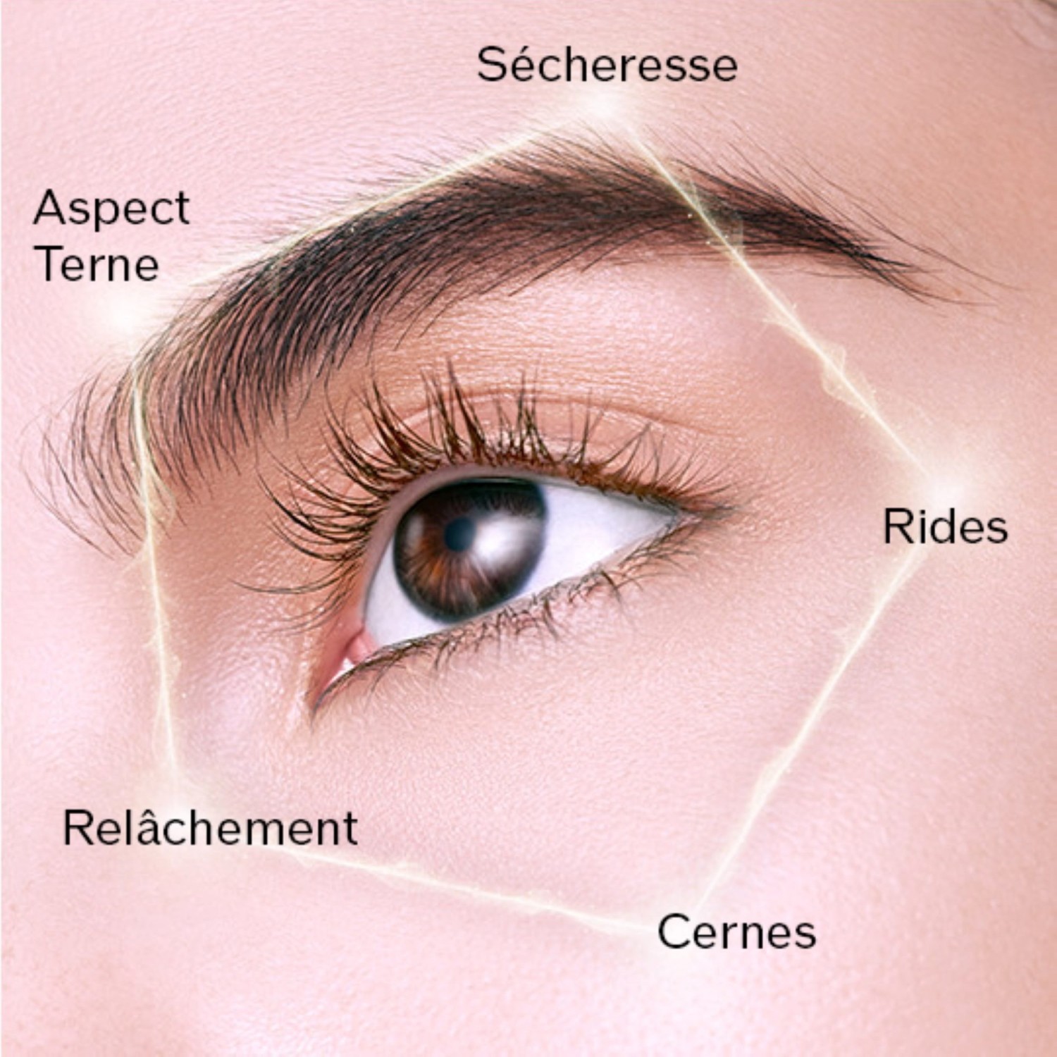Shiseido Crème Contour Yeux Éclat Ultime Enmei