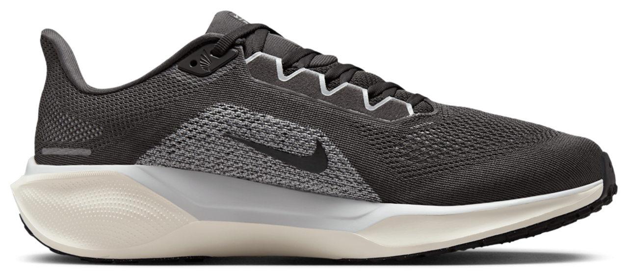 Nike Pegasus 41