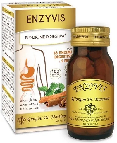 DR. GIORGINI Dr. Giorgini Enzyvis complément alimentaire 100 comprimés améliore la digestion