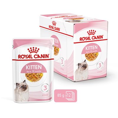 Royal Canin Kitten in Jelly