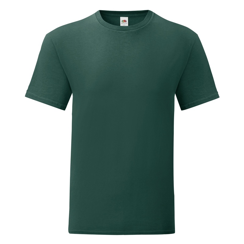 Camiseta masculina Fruit of the Loom Iconic 150