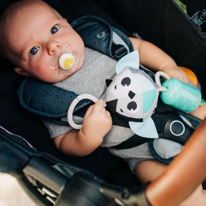 Conjunto de presente TINY LOVE: Brinquedo musical, móbile com textura crocante, sino, estrela, 4 prendedores para carrinho de bebê e 12 cartões de marcos do desenvolvimento, preto e branco.
