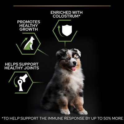 PURINA PRO PLAN Medium Valp Sunn Start