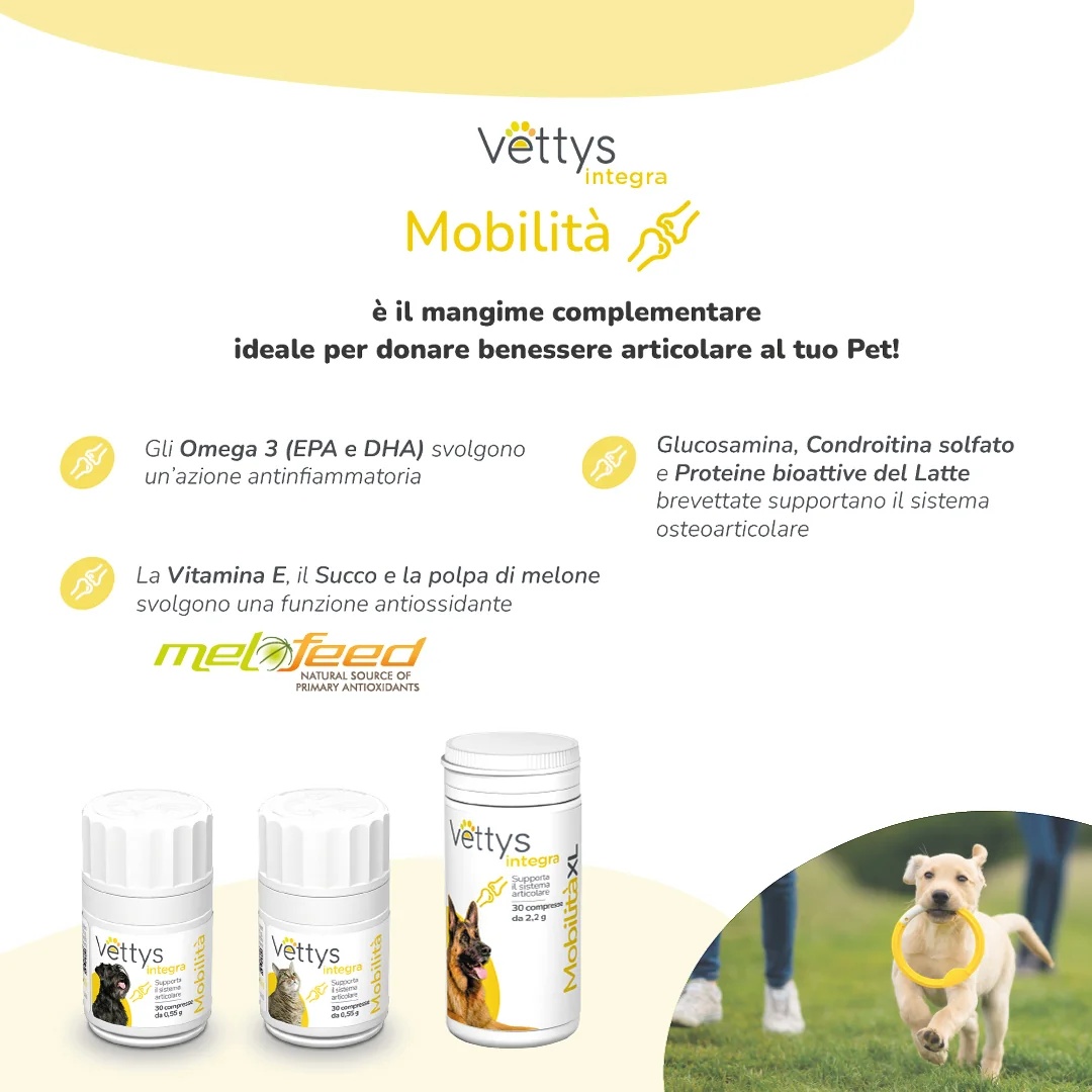 VETTYS Vettys Integra Mobility Dog 30 tabletten Mobiliteit bij honden