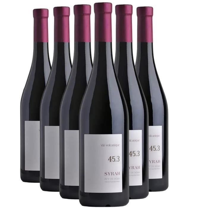 Syrah Rouge 2020 - Lot de 6x75cl - Maison Desprat-Saint Verny - Vin Rouge du Val de Loire - Appellation IGP Puy-de-Dôme