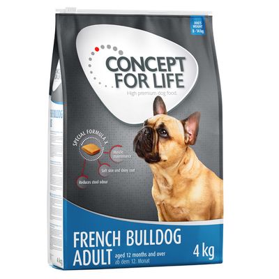 Koncepcja życia Buldog francuski dorosły