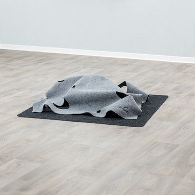 Trixie Cat Activiteiten Avontuur Tapijt
