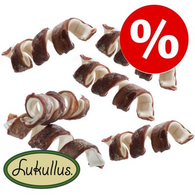 Lot de 6 bonbons à mâcher en spirale Lukullus de 10 cm