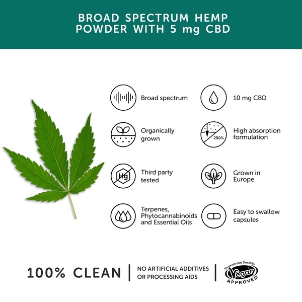 Together Health CBD – Cáñamo orgánico – 60 cápsulas | Salud | Superdrug