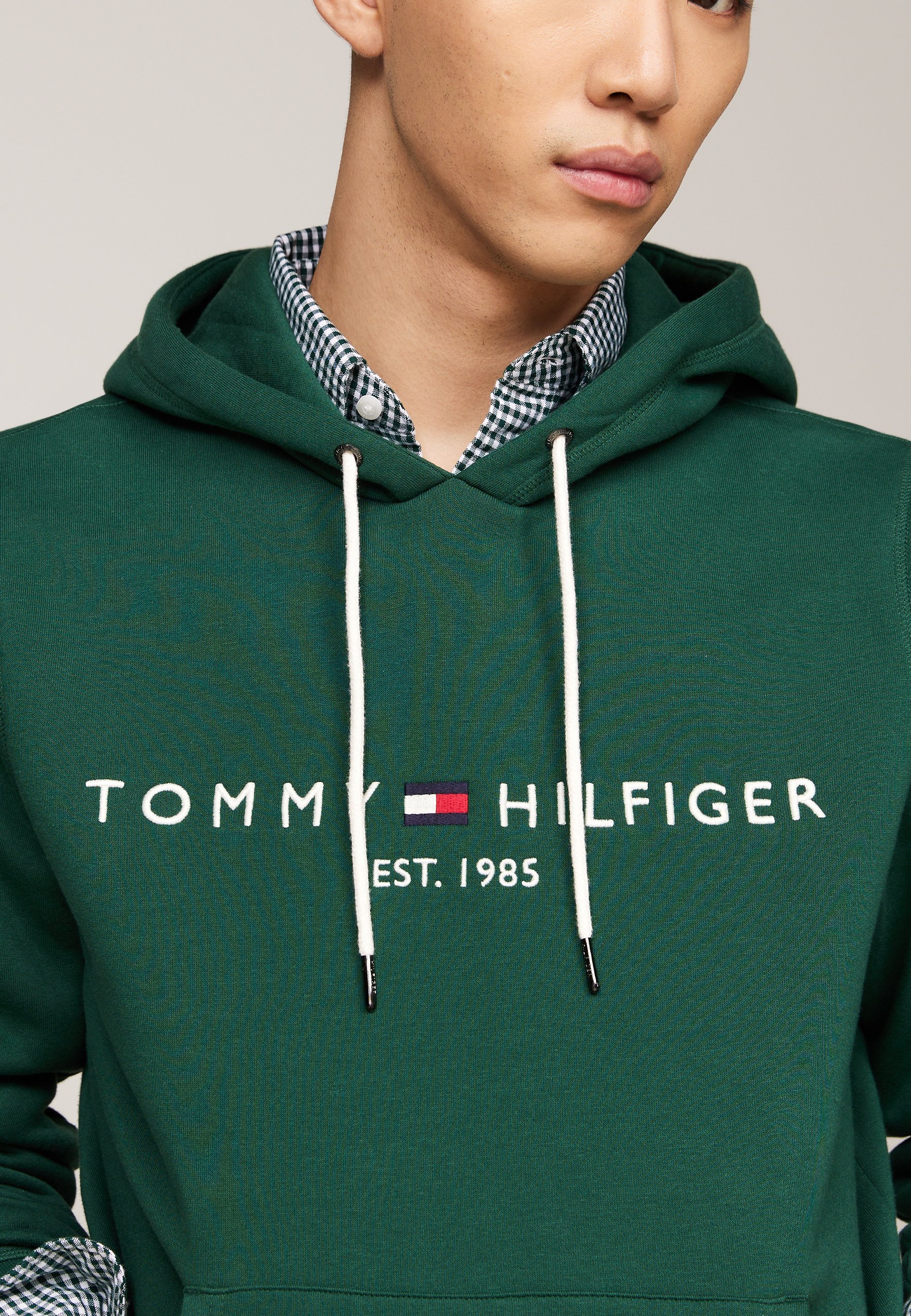 Φούτερ με κουκούλα Tommy Hilfiger LOGO HOODY - διακοσμητικό πράσινο
