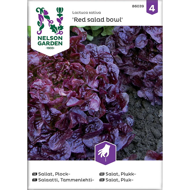 Nelson Garden Seed -salaattilajitelma, punainen salaattikulho