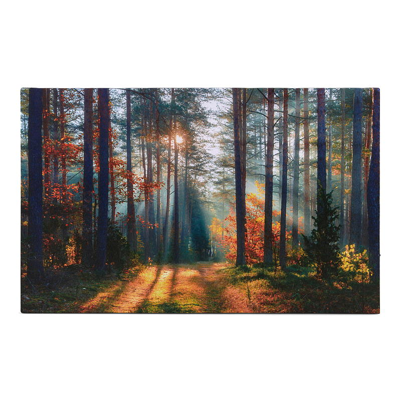 Impression sur toile 38x58 cm, LED/fibre optique, Automne