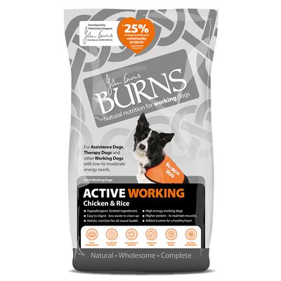 Burns Active Working - Hühnchen & Reis