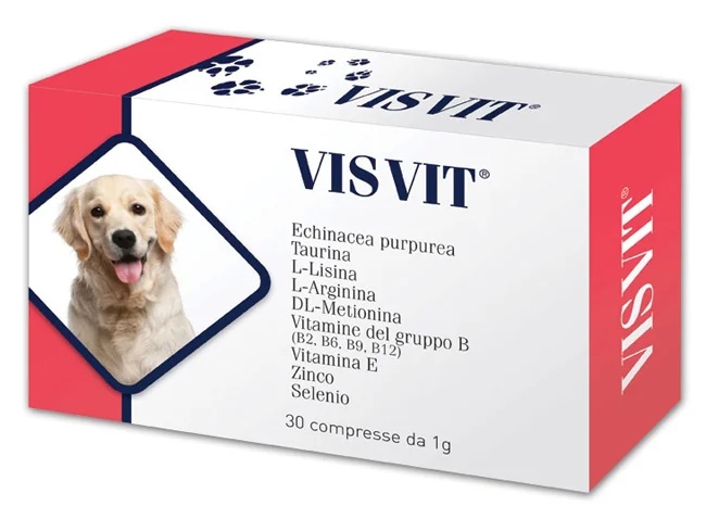 Visvit 30 cápsulas 1g