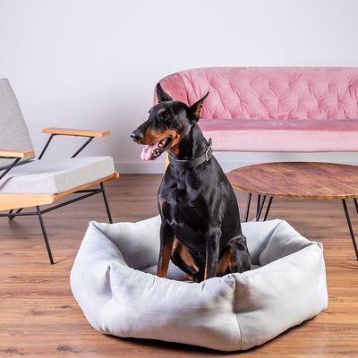 Modern Living Alexandria hundeseng