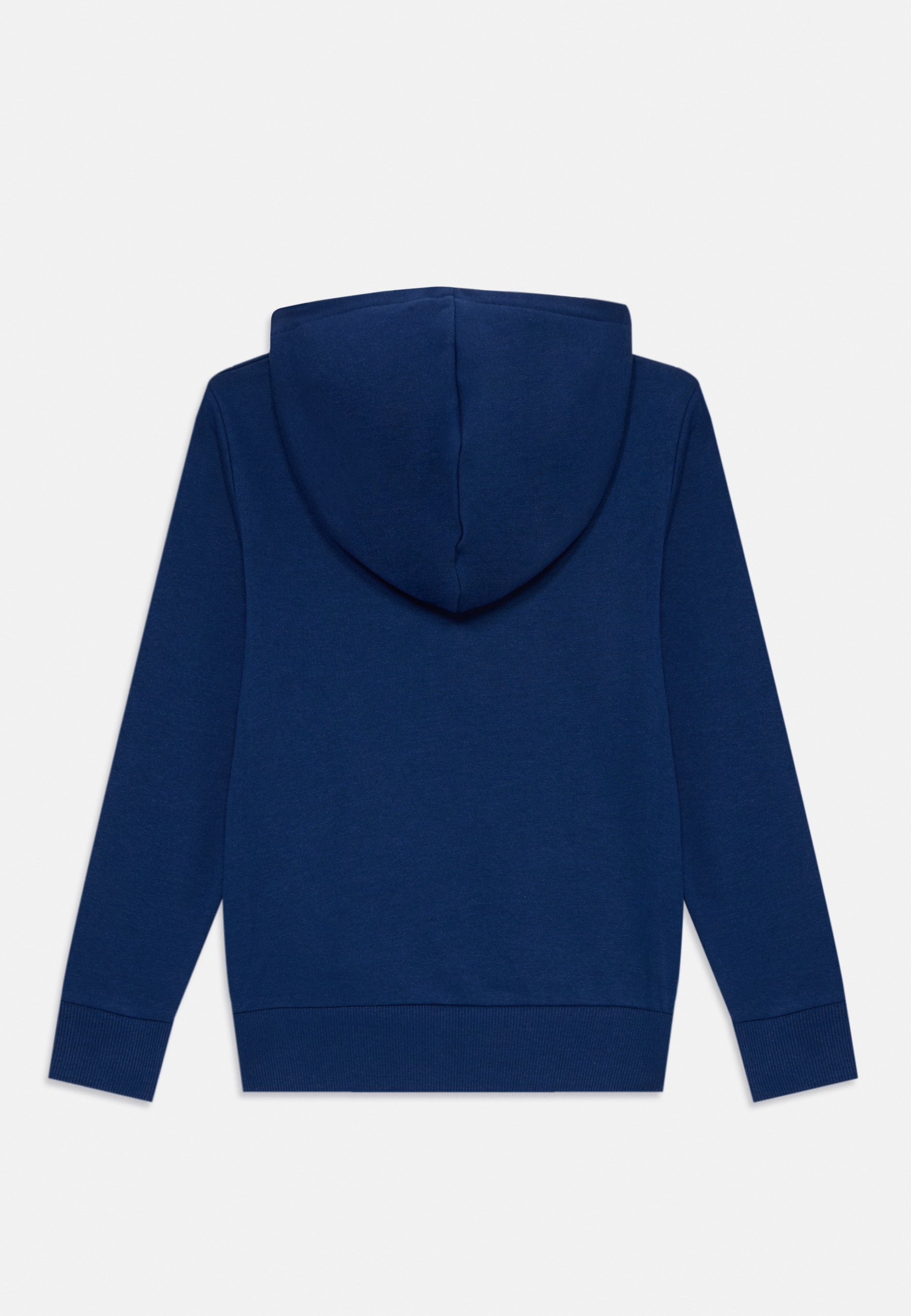 Jack & Jones Junior JOSKULL NATURE HOOD - Sweatshirt - oceaangrot