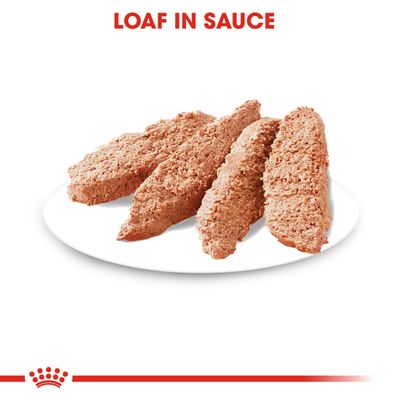 Royal Canin Dermacomfort Loaf