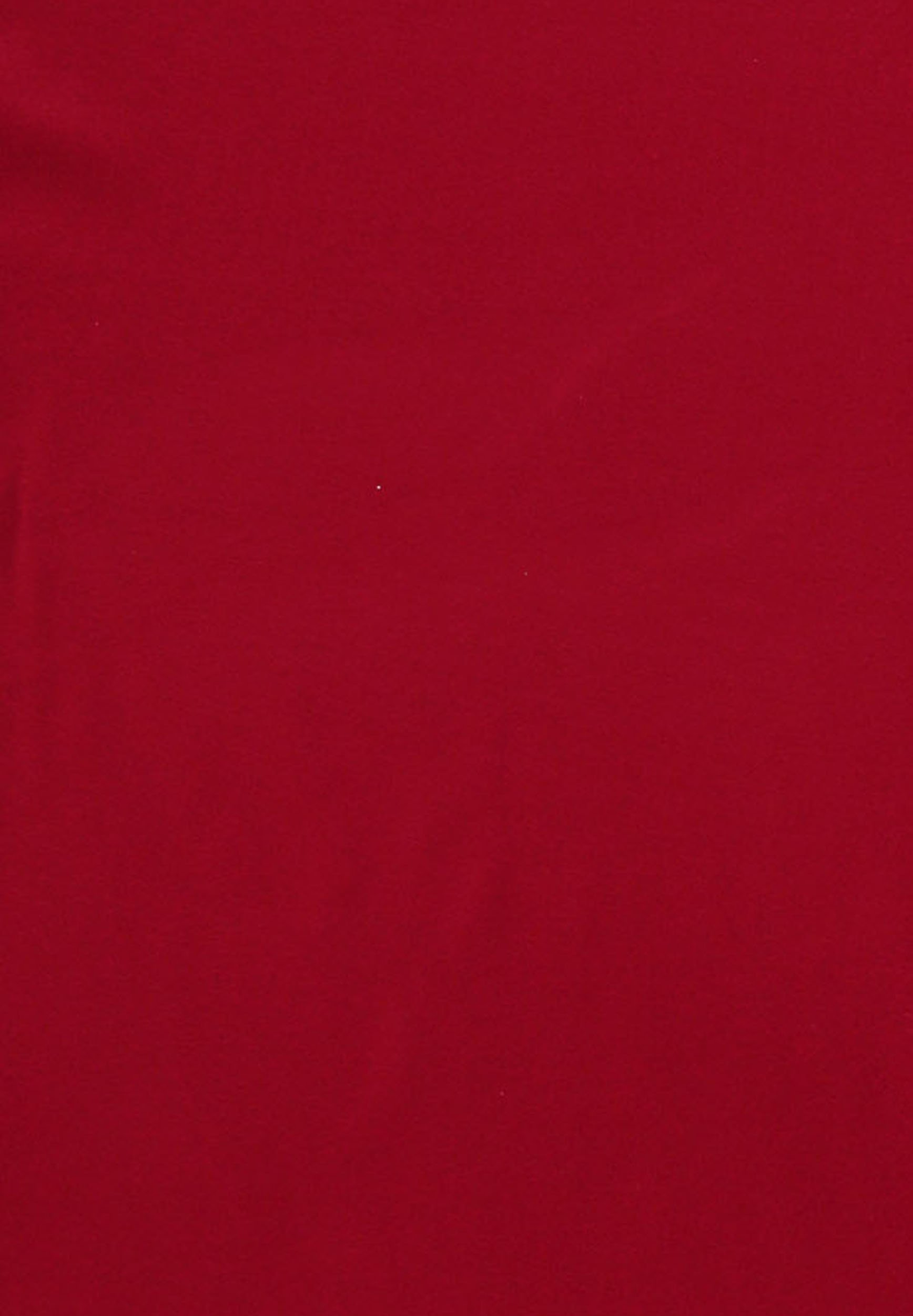 FRAAS EFFEN KASMINK - Sjaal - echt rood