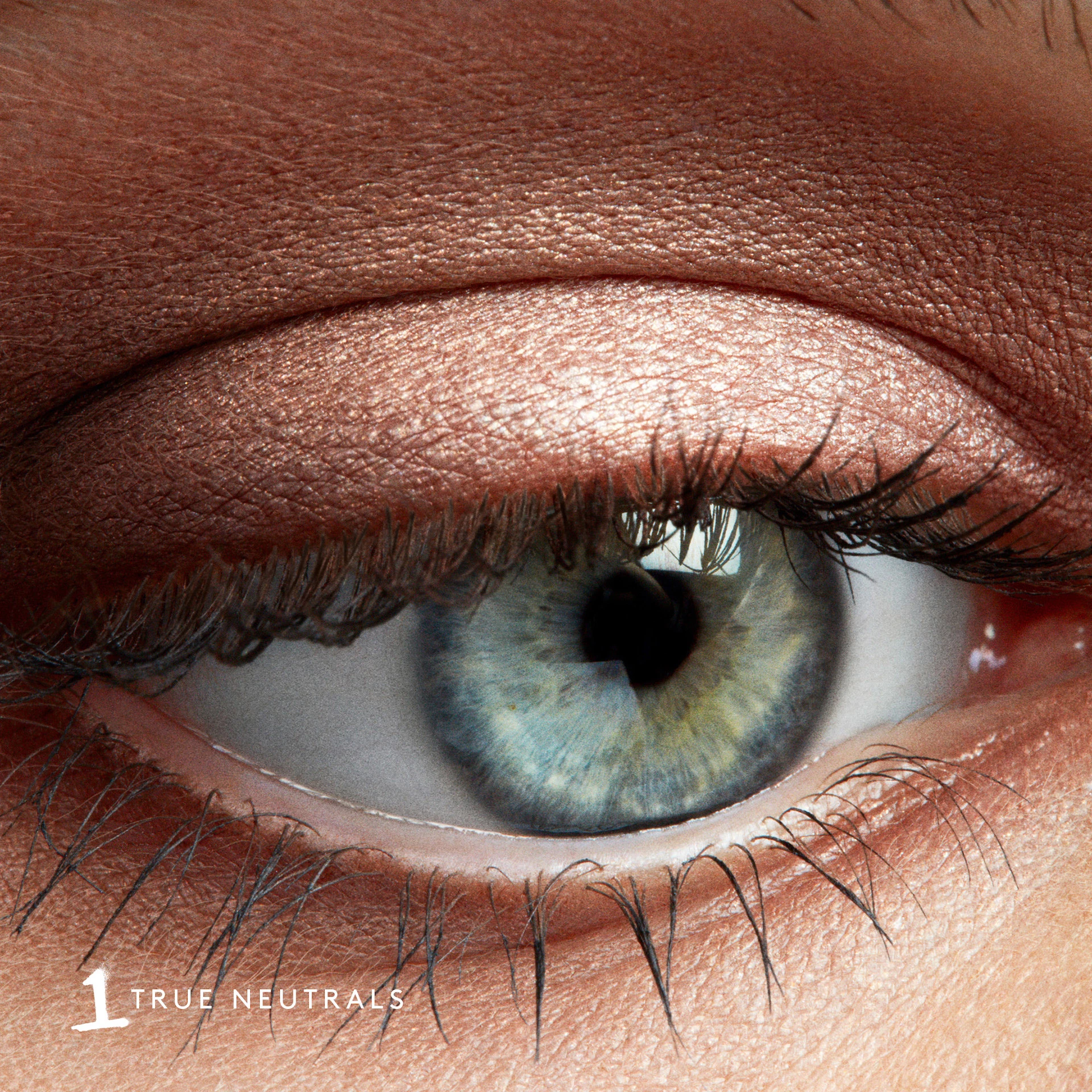 Snap Shadows Mix & Match szemhéjfesték paletta True Neutrals - Fenty Beauty