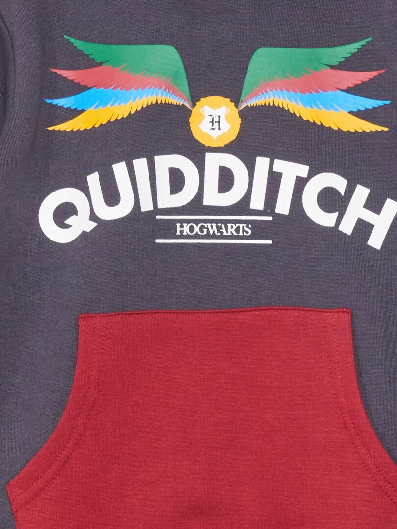 Harry Potter hoodie - grijs