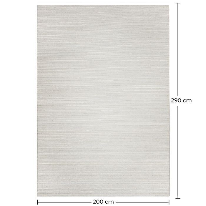 Grand Tapis Design Contemporain et Moderne - Beige (290x200 cm) - Wart Beige