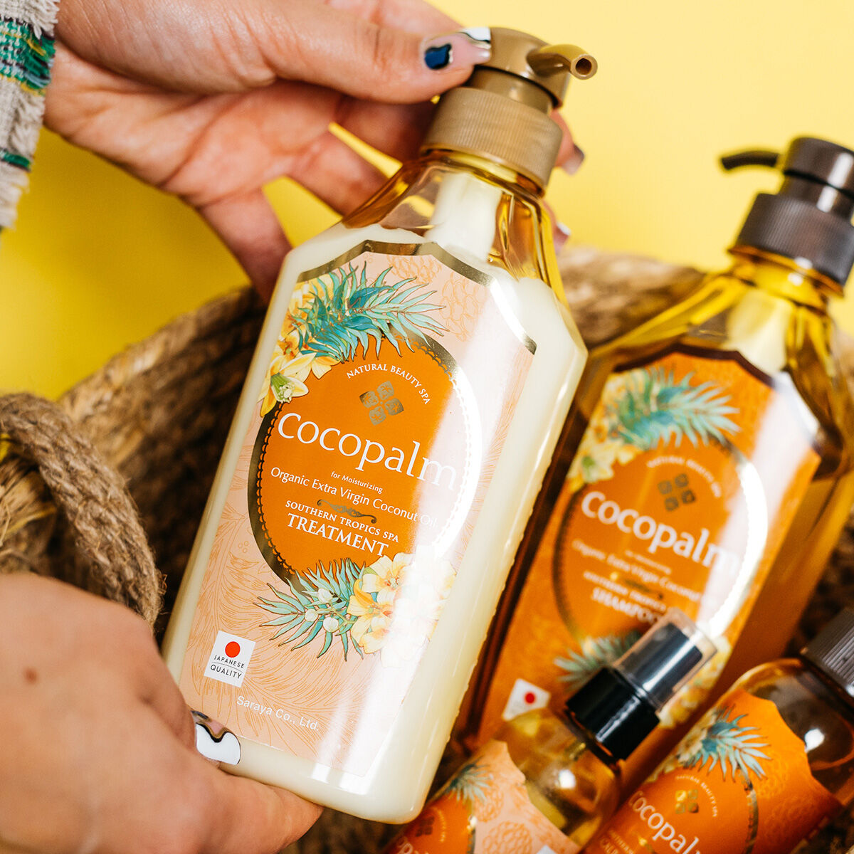 Cocopalm sydlige troper