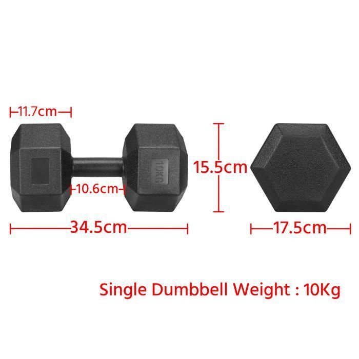 Juego de 2 mancuernas hexagonales Yaheetech, 10 kg cada una, par de mancuernas para entrenamiento con pesas y fitness para hombres y mujeres, hierro y PVC, negro.