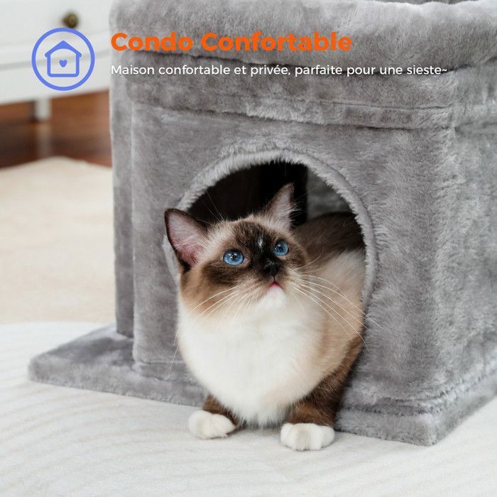 PAWZ Road Petit Arbre à Chat 60 cm, Tour de Jeux avec 2 Poteaux à Griffer Robuste, 1 Condo Spacieux & 1 Grand Perchoir, Gris