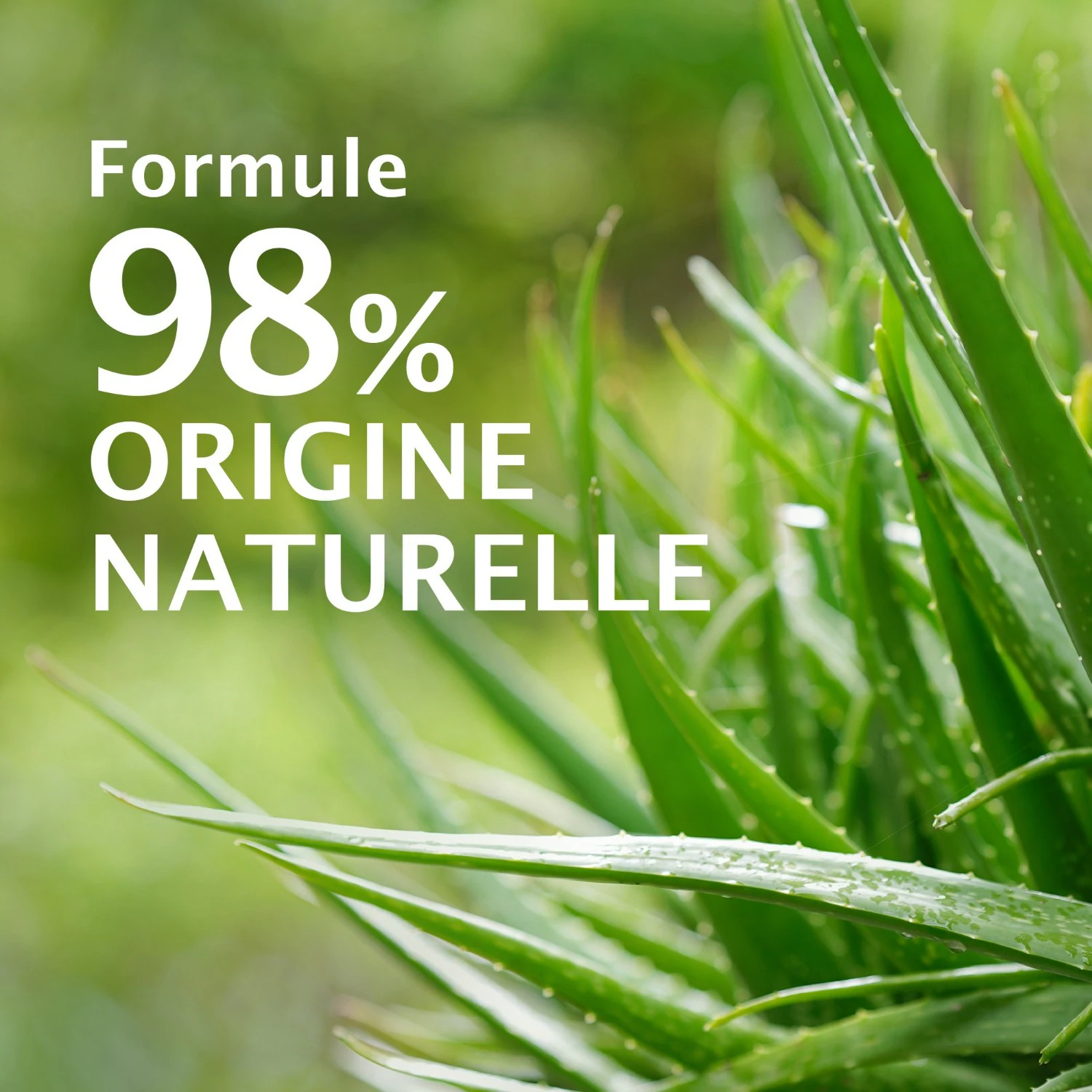 Le Petit Marseillais Gel Douche Hydratant Haute Tolérance Aloe vera