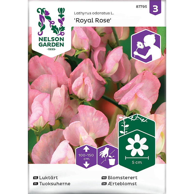 Semillas de rosa real florecida de Nelson Garden, rosa