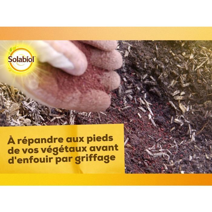 SOLABIOL Engrais sang déséché - 1,5kg - Jusqu'à 30m² - Action coup de fouet - 100% sang désséché - Effet reverdissant