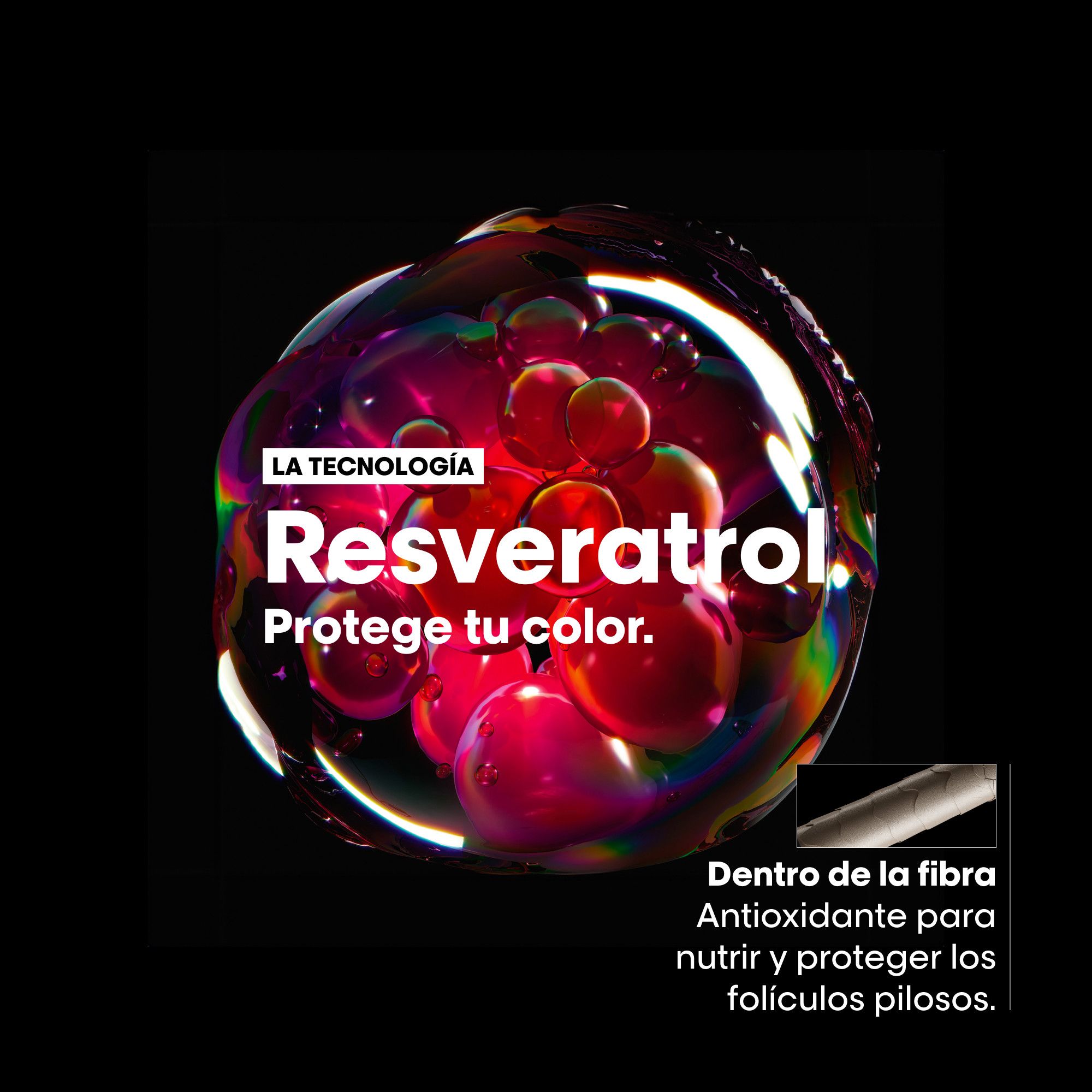Serie Expert Vitamino Color Recharge šampon z resveratrolom za barvane lase Šamponi za salone